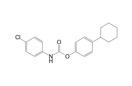 4-cyclohexylphenyl 4-chlorophenylcarbamate
