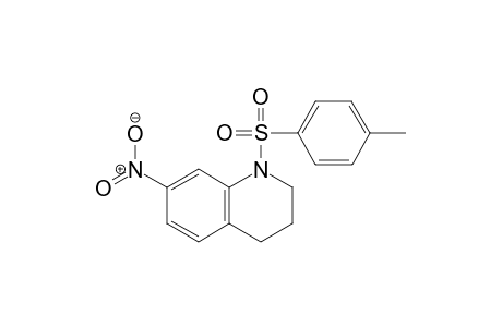7-Nitro-1-tosyl-1,2,3,4-tetrahydroquinoline
