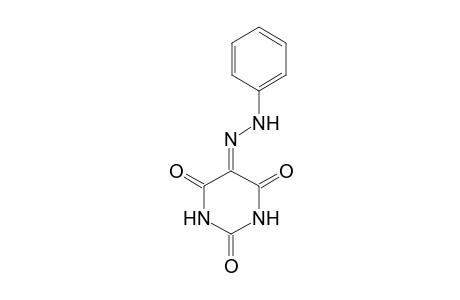 ALLOXAN, 5-(PHENYLHYDRAZONE)