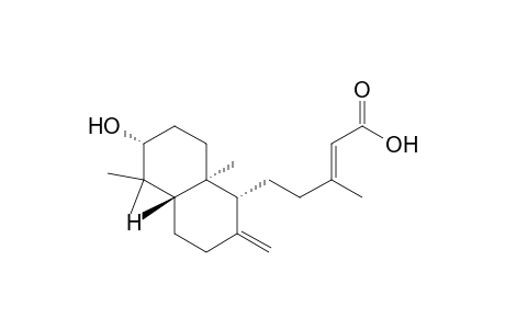 (E)-5-[(1R,4aS,6R,8aS)-5,5,8a-trimethyl-2-methylidene-6-oxidanyl-3,4,4a,6,7,8-hexahydro-1H-naphthalen-1-yl]-3-methyl-pent-2-enoic acid