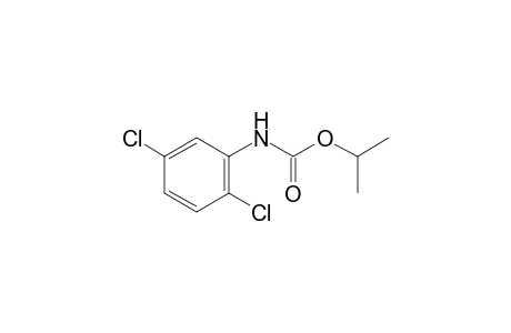 2,5-dichlorocarbanilic acid, isopropyl ester