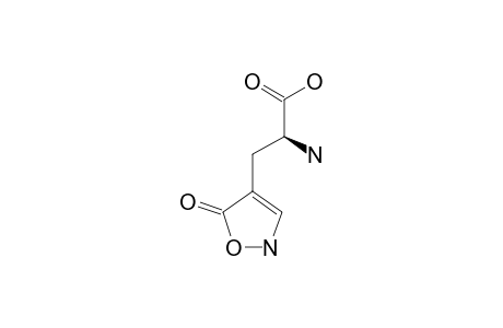 TAN;BETA-(ISOXAZOLYL-5-ON-4-YL)-L-ALANINE