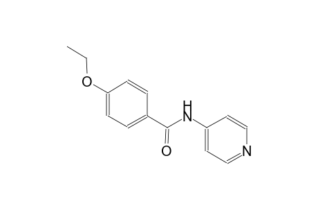 benzamide, 4-ethoxy-N-(4-pyridinyl)-