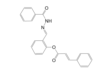 benzoic acid, 2-[(E)-[2-[[(2E)-1-oxo-3-phenyl-2-propenyl]oxy]phenyl]methylidene]hydrazide