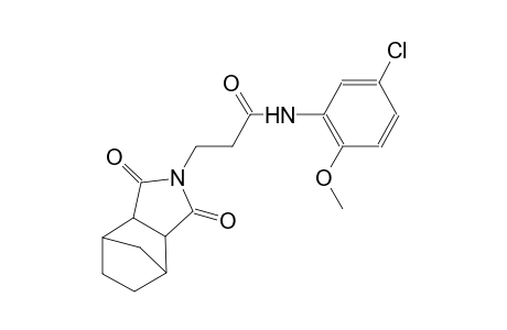 N-(5-chloro-2-methoxyphenyl)-3-(1,3-dioxohexahydro-1H-4,7-methanoisoindol-2(3H)-yl)propanamide