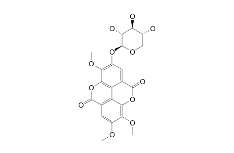 3,3',4-TRO-O-METHYL-ELLAGIC-ACID-4'-O-BETA-D-XYLOPYRANOSIDE