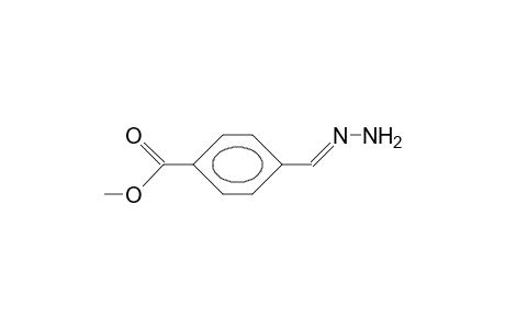 4'-Carbomethoxy-benzaldehyde hydrazone