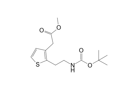 Methyl 2-{2-[(tert-Butoxycarbonyl)amino]ethyl}thiophene-3-acetate