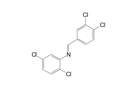 2,5-DICHLORO-N-(3,4-DICHLOROBENZYLIDENE)ANILINE