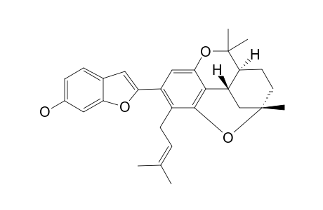 CYCLOARTOLAKOOCHOL