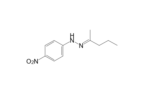 2-pentanone, (p-nitrophenyl)hydrazone