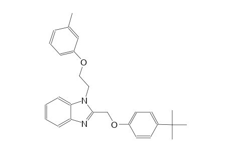 2-[(4-tert-butylphenoxy)methyl]-1-[2-(3-methylphenoxy)ethyl]-1H-benzimidazole