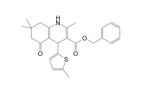 3-quinolinecarboxylic acid, 1,4,5,6,7,8-hexahydro-2,7,7-trimethyl-4-(5-methyl-2-thienyl)-5-oxo-, phenylmethyl ester