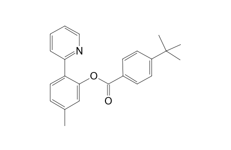 5-Methyl-2-(pyridin-2-yl)phenyl 4-(tert-butyl)benzoate