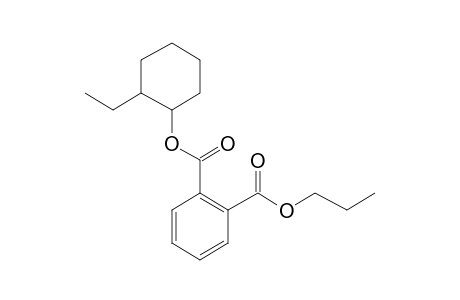 Phthalic acid, 2-ethylcyclohexyl propyl ester