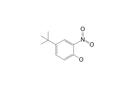 4-tert-Butyl-2-nitrophenol