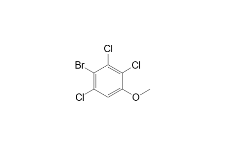 2-Bromo-1,3,4-trichloro-5-methoxy-benzene