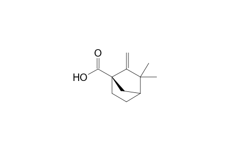 (+)-(1R)-3,3-Dimethyl-2-methylene-1-norbornanecarboxylic acid
