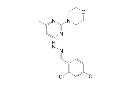 2,4-dichlorobenzaldehyde [6-methyl-2-(4-morpholinyl)-4-pyrimidinyl]hydrazone