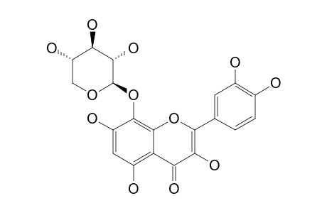 GOSSYPETIN-8-O-BETA-D-XYLOPYRANOSIDE