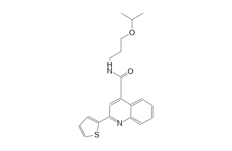 N-(3-isopropoxypropyl)-2-(2-thienyl)-4-quinolinecarboxamide