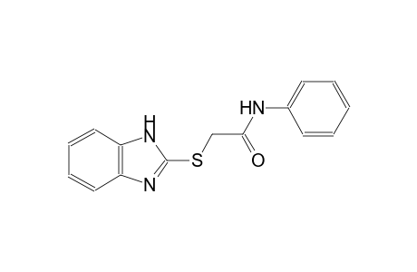 2-(1H-benzimidazol-2-ylsulfanyl)-N-phenylacetamide