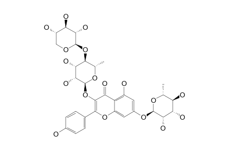 KAEMPFEROL-3-O-[BETA-D-XYLOPYRANOSYL-(1->4)-ALPHA-L-RHAMNOPYRANOSYL]-7-O-ALPHA-L-RHAMNOPYRANOSIDE