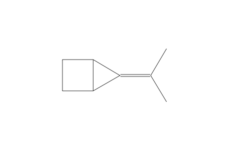 5-Isopropylidene-bicyclo(2.1.0)pentane