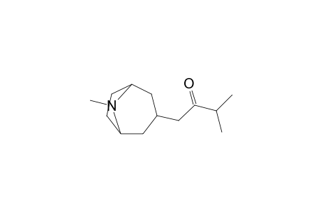 1-(Tropan-3-yl)-3-methylbutan-2-one