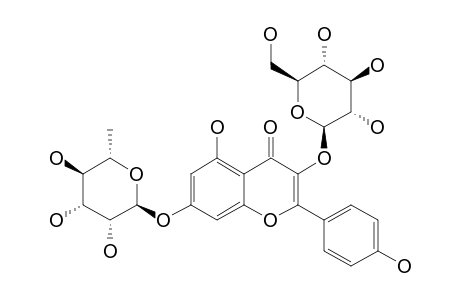 KAEMPFEROL-3-BETA-GLUCOSIDE-7-ALPHA-RHAMNOSIDE