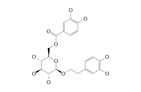 FUHSIOSIDE;2-(3,4-DIHYDROXYPHENYL)-ETHYL-6-O-PROTOCATECHUOYL-BETA-D-GLUCOPYRANOSIDE