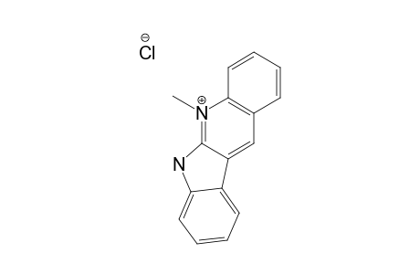 NEOCRYPTOLEPINE-HYDROCHLORIDE-SALT;5-METHYL-5H-INDOLO-[2,3-B]-QUINOLINE-HYDROCHLORIDE-SALT