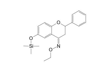 Flavanone <6-hydroxy-> ethoxime, mono-TMS, isomer 2