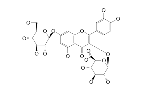 QUERCETIN-3-O-BETA-GLUCOPYRANOSIDE-URONIC_ACID-7-O-BETA-GLUCOPYRANOSIDE
