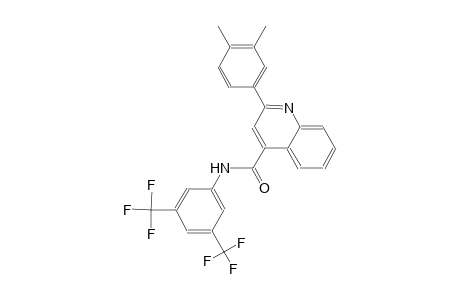N-[3,5-bis(trifluoromethyl)phenyl]-2-(3,4-dimethylphenyl)-4-quinolinecarboxamide