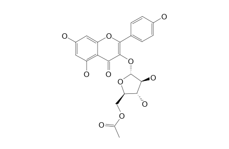 KAEMPFEROL-3-O-ALPHA-L-5''-ACETYL-ARABINOFURANOSIDE