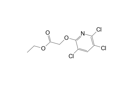 Ethyl 2-((3,5,6-trichloropyridin-2-yl)oxy)acetate