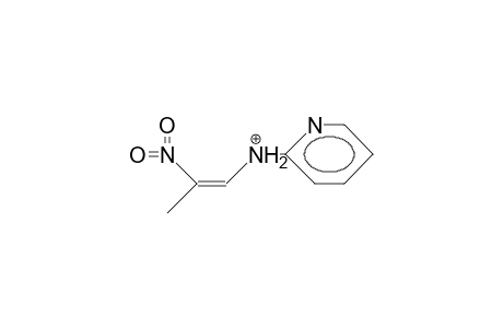 Z-1-(2-Pyridylamino)-1-nitro-propene cation