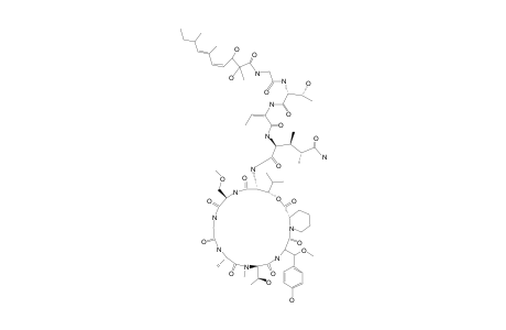 PAPUAMIDE-C