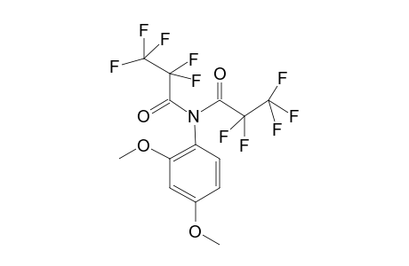 2,4-Dimethoxyaniline, N,N-bis(pentafluoropropionyl)-