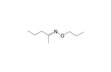 2-Pentanone, O-propyloxime