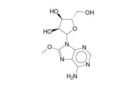 8-Methoxy-adenosine