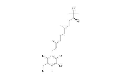 CHLOROCYLINDROCARPOL