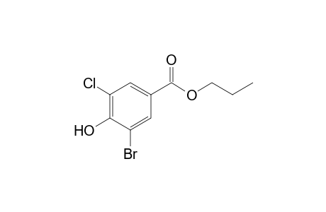 Propyl 3-bromo-5-chloro-4-hydroxybenzoate