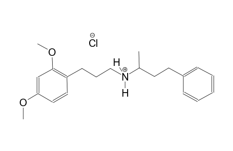 benzenepropanaminium, 2,4-dimethoxy-N-(1-methyl-3-phenylpropyl)-, chloride