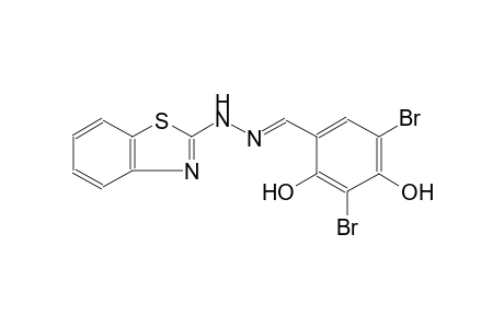 3,5-dibromo-2,4-dihydroxybenzaldehyde 1,3-benzothiazol-2-ylhydrazone