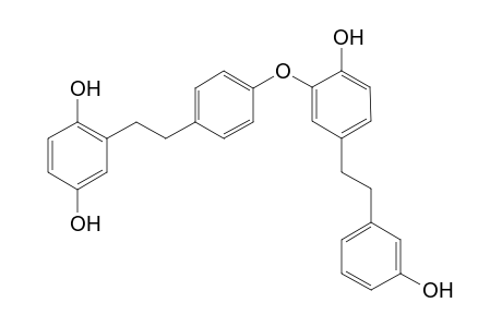 14-Hydroxyperrottetin E