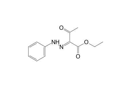 2,3-dioxobutyric acid, ethyl ester, 2-phenylhydrazone