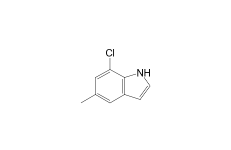 7-Chloranyl-5-methyl-1H-indole