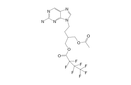Famciclovir artifact HFB